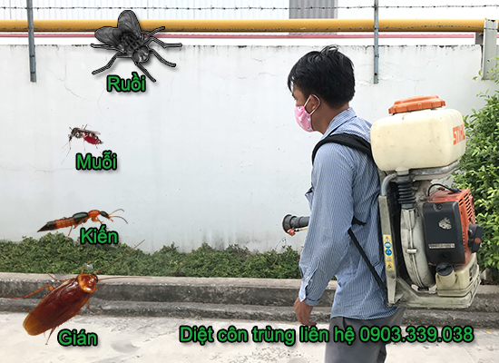Dịch vụ diệt côn trùng tại Tiền Giang