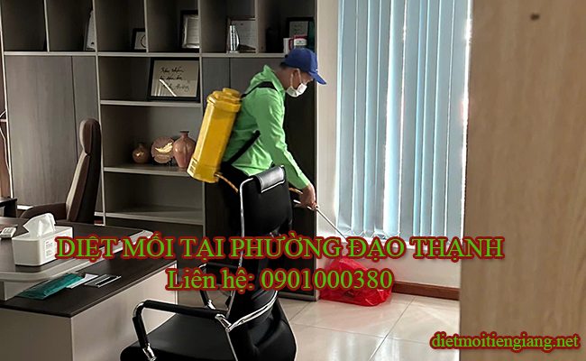 Dịch vụ diệt mối tại Phường Đạo Thạnh Đồng Tháp uy tín.