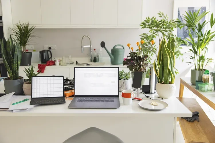 “Mù lộn xộn” - căn bệnh khiến căn nhà bừa bộn mà bạn không hay biết - 1