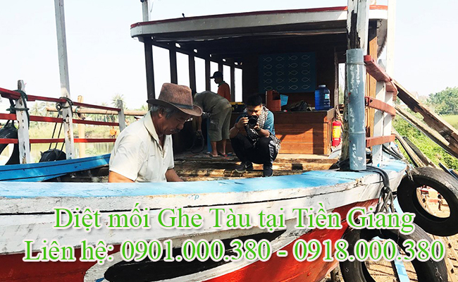 Dịch vụ diệt mối ghe tàu tại Tiền Giang chuyên nghiệp Dịch vụ diệt mối ghe tàu tại Tiền Giang chuyên nghiệp