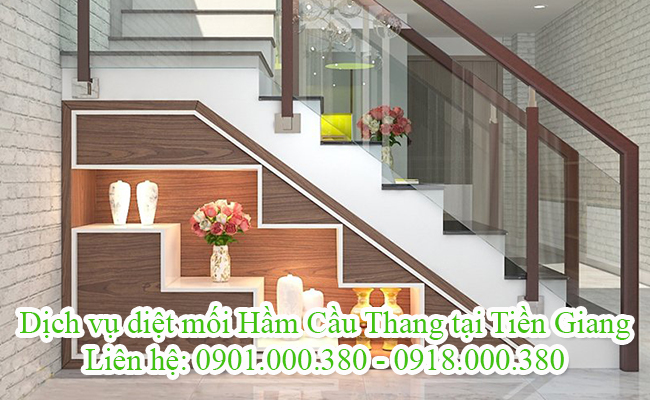 Dịch vụ diệt mối hầm cầu thang tại Tiền Giang không cần tháo dỡ.
