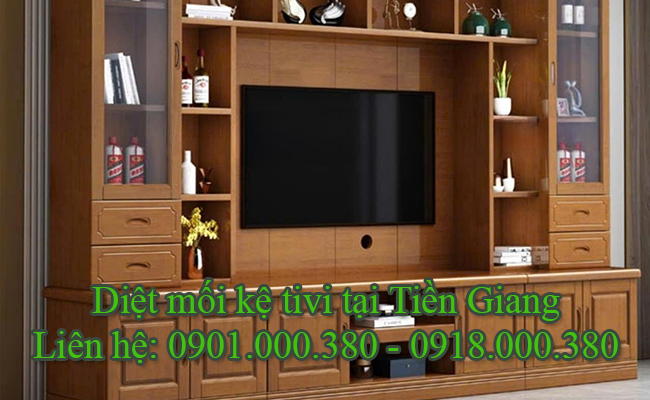 Dịch vụ diệt mối kệ tivi tại Tiền Giang uy tín bảo hành dài hạn.