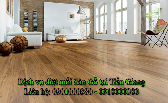 Dịch vụ diệt mối sàn gỗ tại Tiền Giang uy tín và chuyên nghiệp.