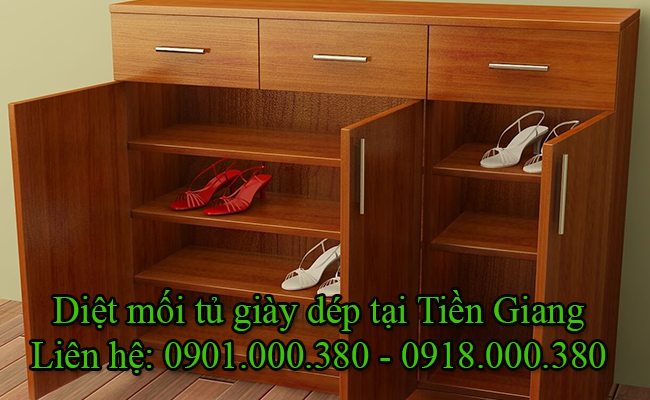 Dịch vụ diệt mối tủ giày dép tại Tiền Giang uy tín. Dịch vụ diệt mối tủ giày dép tại Tiền Giang uy tín.